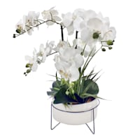 White Orchid in Cement & Metal Plant Stand, 29"