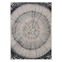 (B756) Ochoco Grey Woodgrain Area Rug, 5x7