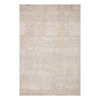 (B764) Kari Taupe & Rust Area Rug, 5x7