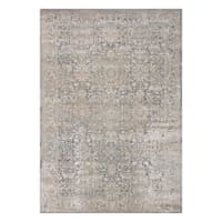 (B769) Helena Grey Floral Area Rug, 8x10