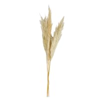 3-Piece Pampas Grass Bundle, 48"