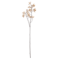 Natural Firmiana Simplex Spray, 30"