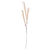 Cream Pampas Grass Spray, 48"
