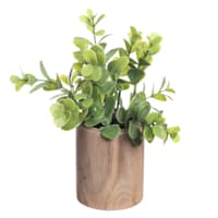 Eucalyptus Bundle in Wooden Pot, 5x8