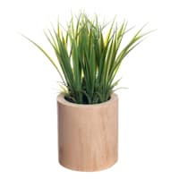 Natural Grass Spray in Wooden Pot, 9"