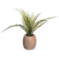 Fern Plant in Wood Pot, 12"