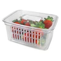Clear Vegetable Keeper, Small