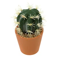 Barrel Cactus in Pot, 5"