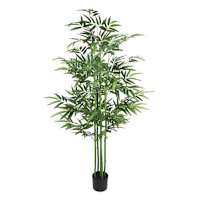 Potted Bamboo Tree, 6'