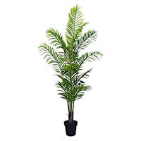 Potted Areca Palm Plant, 6'