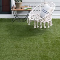 (E451) Artificial Turf, 8x10
