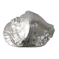 Ty Pennington Metallic Whelk Shell Table Decor, 4.5"