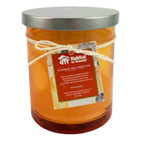 Habitat for Humanity Pumpkin Pie Frosting Scented Jar Candle, 11oz