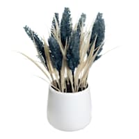 Honeybloom Blue Dog Tail in Ceramic Pot, 11"