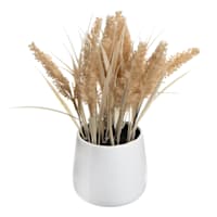 Honeybloom Brown Dog Tail in Ceramic Pot, 11"