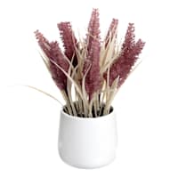 Honeybloom Mauve Dog Tail in Ceramic Pot, 11"