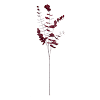 Honeybloom Red Eucalyptus Spray, 40"