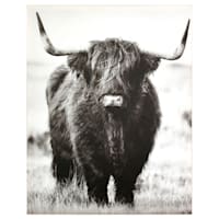 Ty Pennington Highland Cow Canvas Wall Art, 22x28