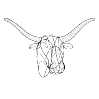 Ty Pennington Wire Longhorn Wall Decor, 28x17