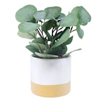 Eucalyptus Arrangement in Two-Toned Pot, 17"
