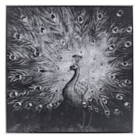 Framed Black & White Peacock Canvas Wall Art, 30"