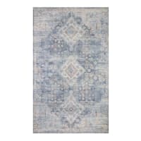 (B822) Whittington Blue Floral Medallion Accent Rug, 3x5