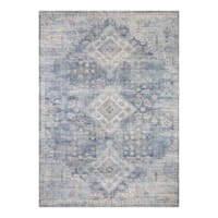 (B822) Whittington Blue Floral Medallion Area Rug, 5x7