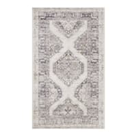 Addison Rugs Indoor/Outdoor Cozy Winter ACW32 Gray Washable 3' x 5' Rug