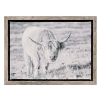 Ty Pennington Cow Canvas, 8"