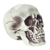 Realistic Foam Halloween Skull, 7"