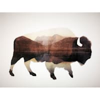 Ty Pennington Buffalo Canvas Wall Art, 16x12