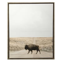 Ty Pennington Framed Buffalo Canvas, 22x27
