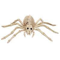 Halloween Spider Skeleton, 9"