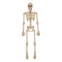 Spooky Halloween Skeleton, 6"