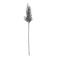 Grey Pampas Grass Stem, 36"