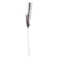 Brown Pampas Grass Stem, 49"