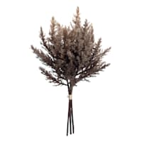 Brown Pampas Grass Bundle, 14"