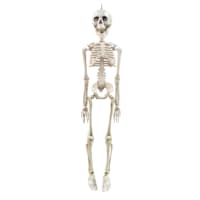 Hanging Halloween Skeleton, 20"