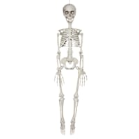 Halloween Skeleton, 35"