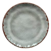 Honeybloom Grey Melamine Dinner Plate, 11"