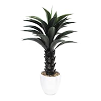 Aloe Plant in Cement Pot, 39"