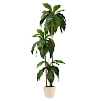 3-Head Bird's Nest Tree in White Planter, 5.5'