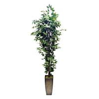 Green Fiscus in Metal Planter, 7'