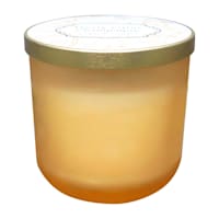 Frosty Citrus Champagne Scented Jar Candle, 11oz