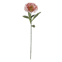 Red Protea Floral Stem, 27"