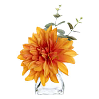 Orange Dahlia & Eucalyptus Floral Arrangement in Glass Vase, 10"