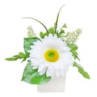 Large White Daisy in White Ceramic Pot, 7"