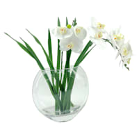 Laila Ali Orchid with Glass Vessel, 15"