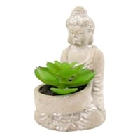 Found & Fable Succulent in Buddha Pot, 4.5"