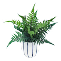 Ty Pennington Leather Leaf Fern in Ceramic Pot, 11"
